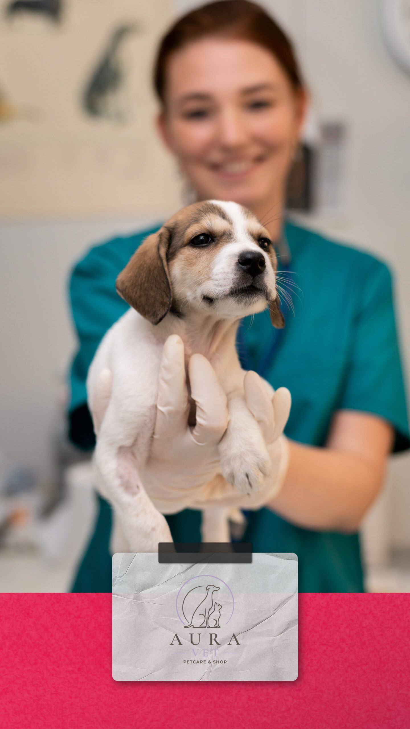 Aura Vet